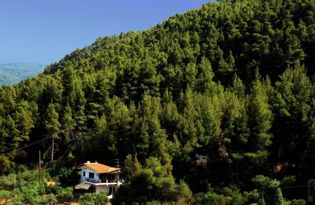 Idyllic located holiday apartment at the sea, Wifi, Vourvourou, Chalkidiki-Sitho