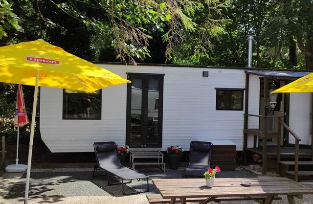 Idyllic location on the IJmeer near Amsterdam