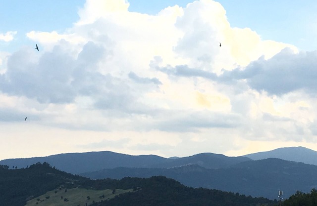 Il Casalotto holiday home Sleeps Apartment