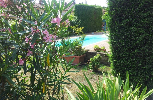 Il Pioppo e la Fonte