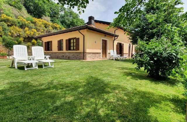 Il Vigneto