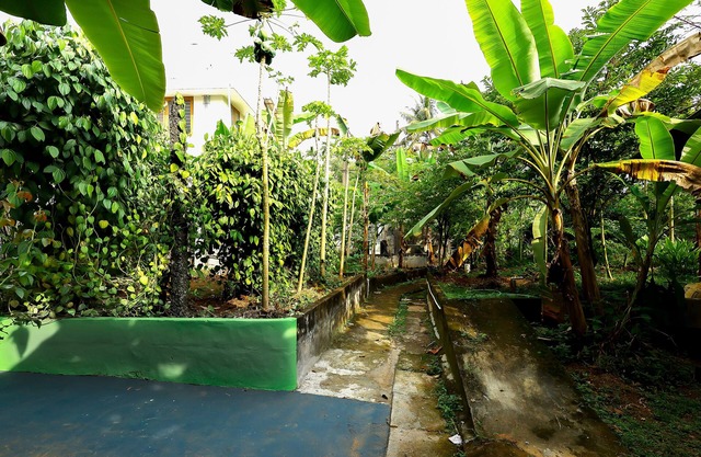 Illikkalam Lakeside Cottages