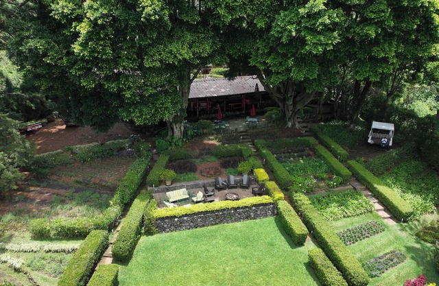 Immense Estate with Gorgeous Gardens / El Salvador