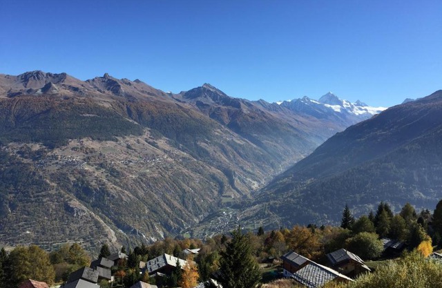 Immeuble Belvédère