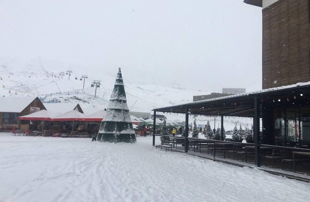 Impeccable 1-Bed Apartment in Gudauri