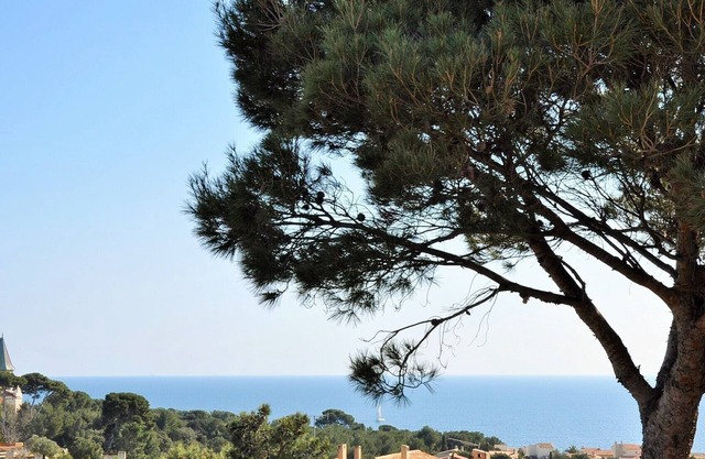 IN SAUSSET LES PINS. MAGNIFICENT APARTMENT ref: 3 stars close to the sea.