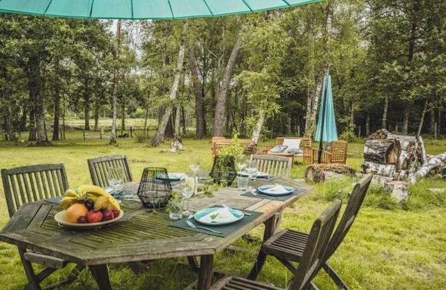 In the heart of nature, property 15 minutes from Chateau de Chambord!