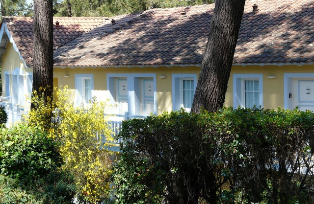 In the middle of the pines, attractive apartment for 2 - 4 people