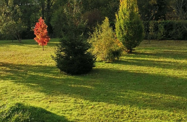 In the Pays d'Olmes