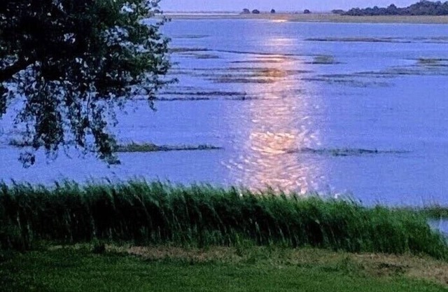 INLET SUNRISE MILLION DOLLAR VIEW! MARSH FRONT