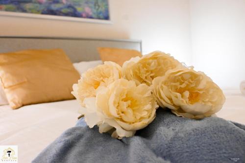 Inn Pisa Rentals - Pisa Tower Flat