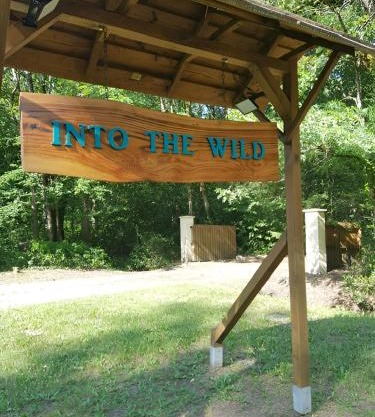 INTO THE WILD - Nos 5 logements "Atypiques"
