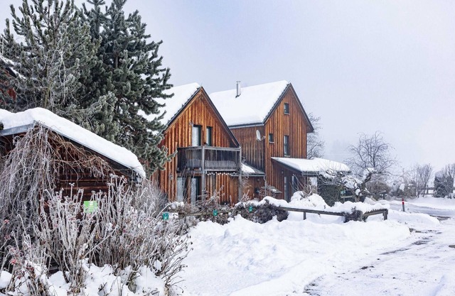 Inviting chalet with terrace