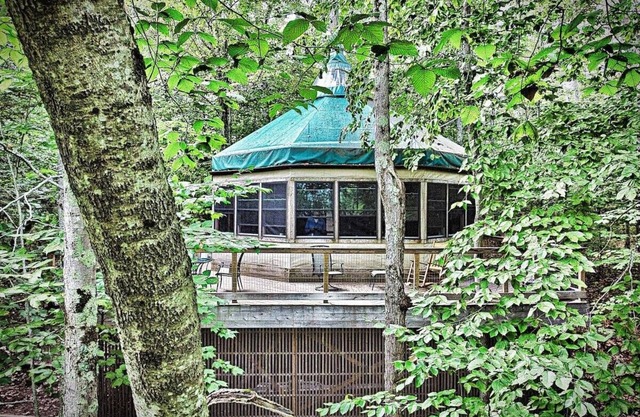 Island Tree House Glamping