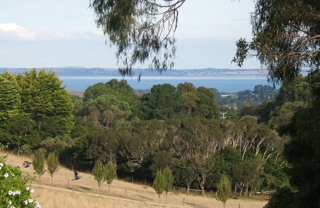 Island View Studio Red Hill - Private romantic couples retreat.