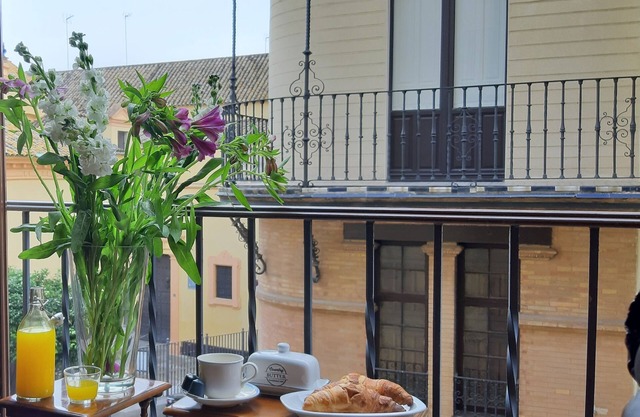 Ispal Apartament Seville city center & parking (vftse06601) (garage ford: 06798)