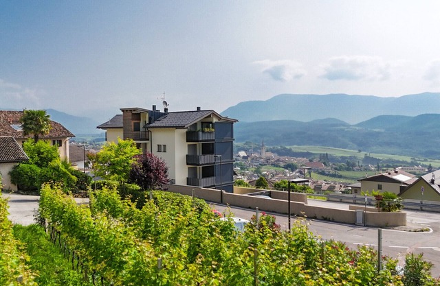 705A Apartment Mendelbahn 1