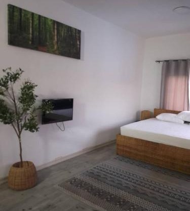 Ivy Homestay