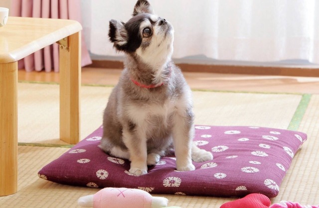 Japanesestyle room for 23 people 3 people P/Sendai Miyagi