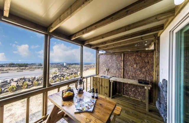 Jeju If you Meet a Dolphin in Jeju