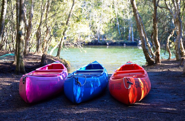 Jervis Bay Cabins & Hidden Creek Campsite