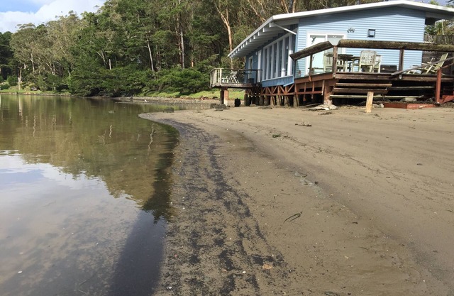 Joe's Studio on Tomales Bay, Bleu Bay Cove, Marshall, Pt Reyes National Park