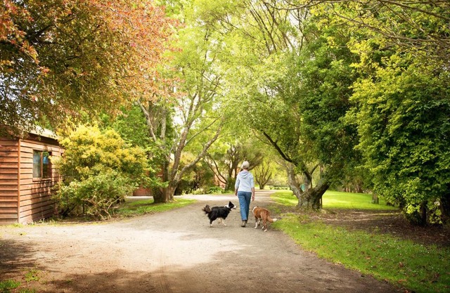 Johanna River Farm & Cottages