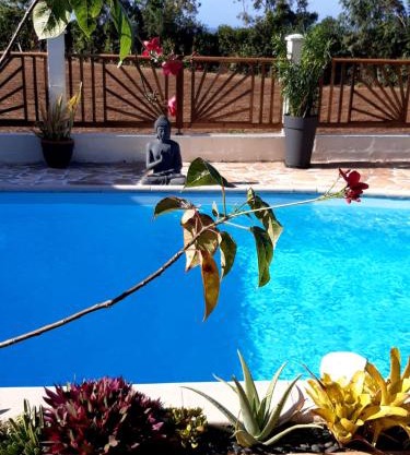 Joli studio rez de jardin, piscine, jacuzzi