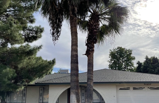Jungle Bungalow 4 bd/2bth 6 beds Indoor Bball, Games, Huge backyard Family Home