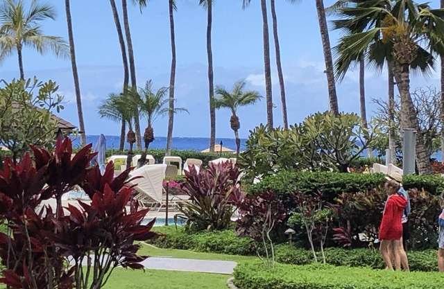 Kaanapali Alii Unit 416