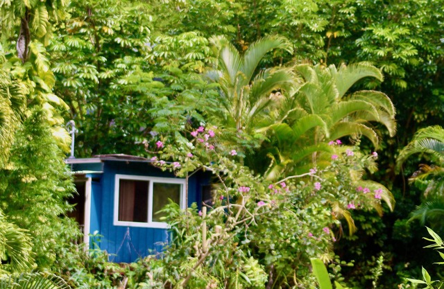 Kai Honu Home