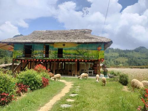 Kale Farm Bắc Hà