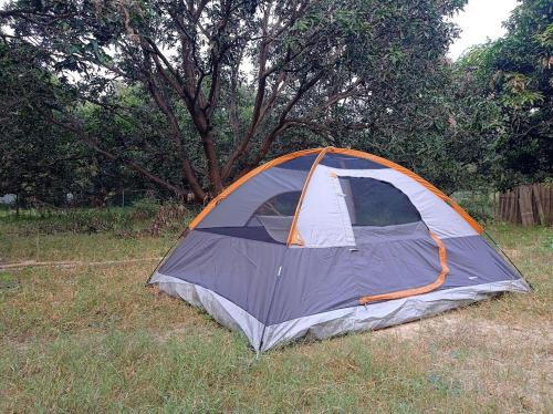 Kalinjar Permaculture Farm