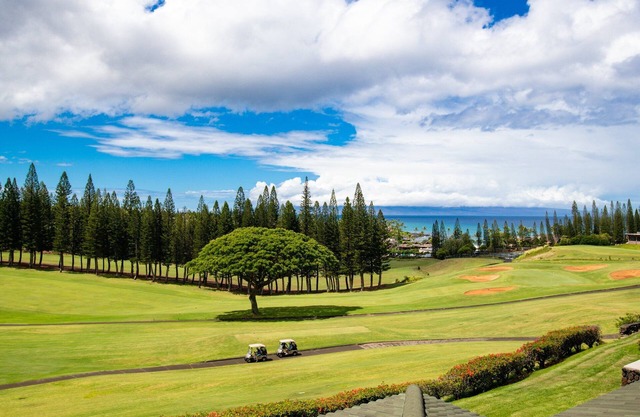 Kapalua Golf Villa 15T2 - Remodeled 1BD with Coastal Vibes!