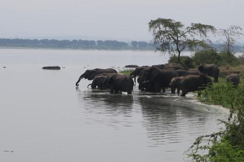 Kasenyi Lake Retreat Lodges & Campsite