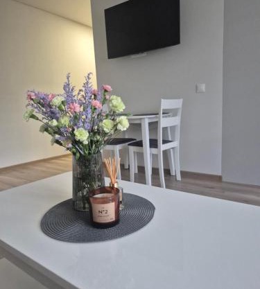 Kaunas City Apartment