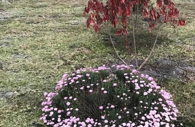 Kavango Dachils Lodges Ext2