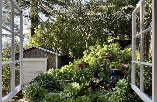 Kentfield Haven - Adorable and Cozy Studio