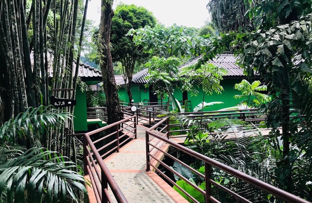 Khao Sok River Lodge Hotel