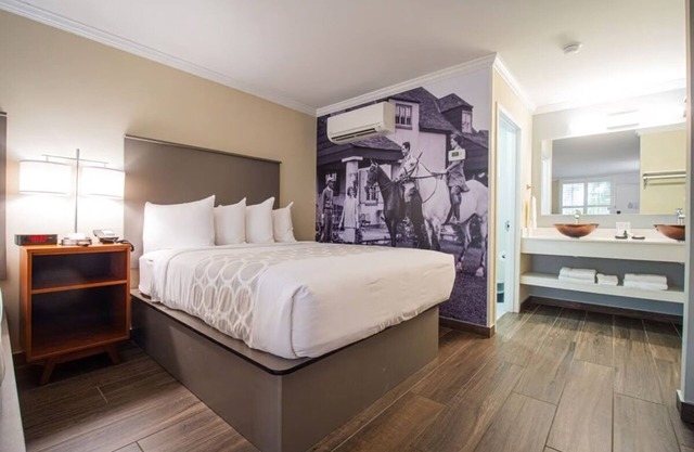 King Junior at Equus Inn, Pet-friendly, Free Breakfast, Free Parking