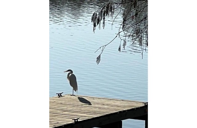 Kingwood Cove Cottage - 10 mins from IAH - Water Front