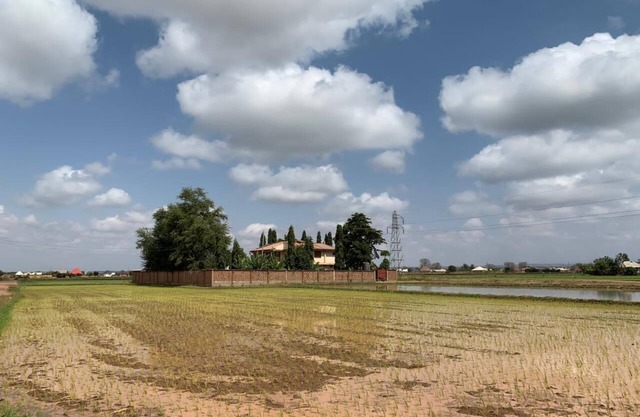 Kinyaiya's Farm Lodge