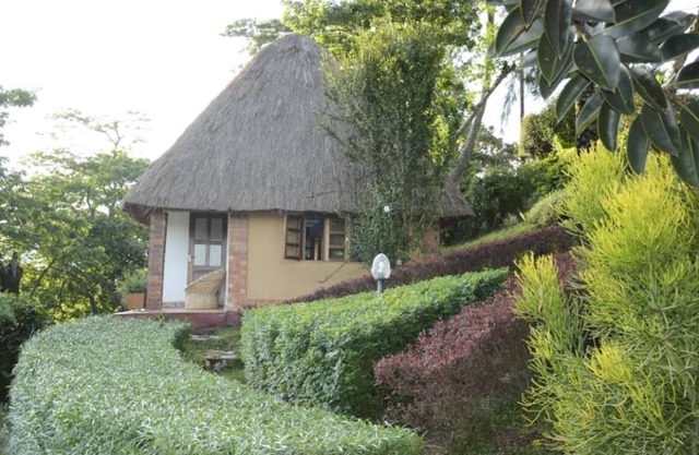 Kitojo Guest Cottages