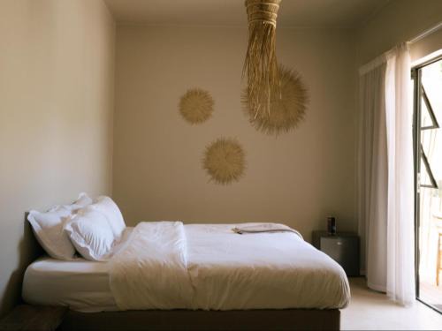 Kokon Boutique Guesthouse