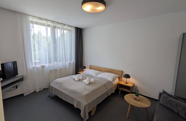 Komfortný apartmán pri horskom potoku, priamo na chodníku na Zelené pleso.