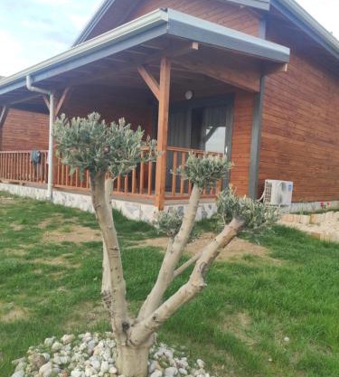 Koruwoodenhouse Alanya Gazipaşa