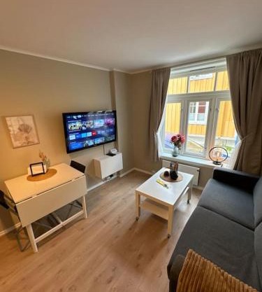 Koselig studioleilighet i sentrum