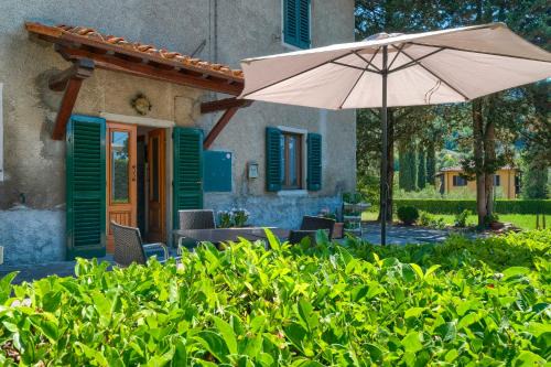 L'aia dì Trippa all'Aria Mugello