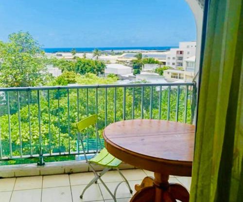 L'Escale Métisse, spacieux, clim, terrasse, parking, à 10 min de l'aéroport