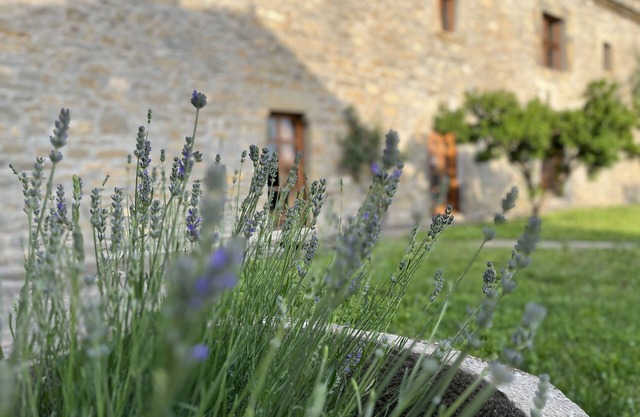 La Abadía with terrace, garden and barbecue